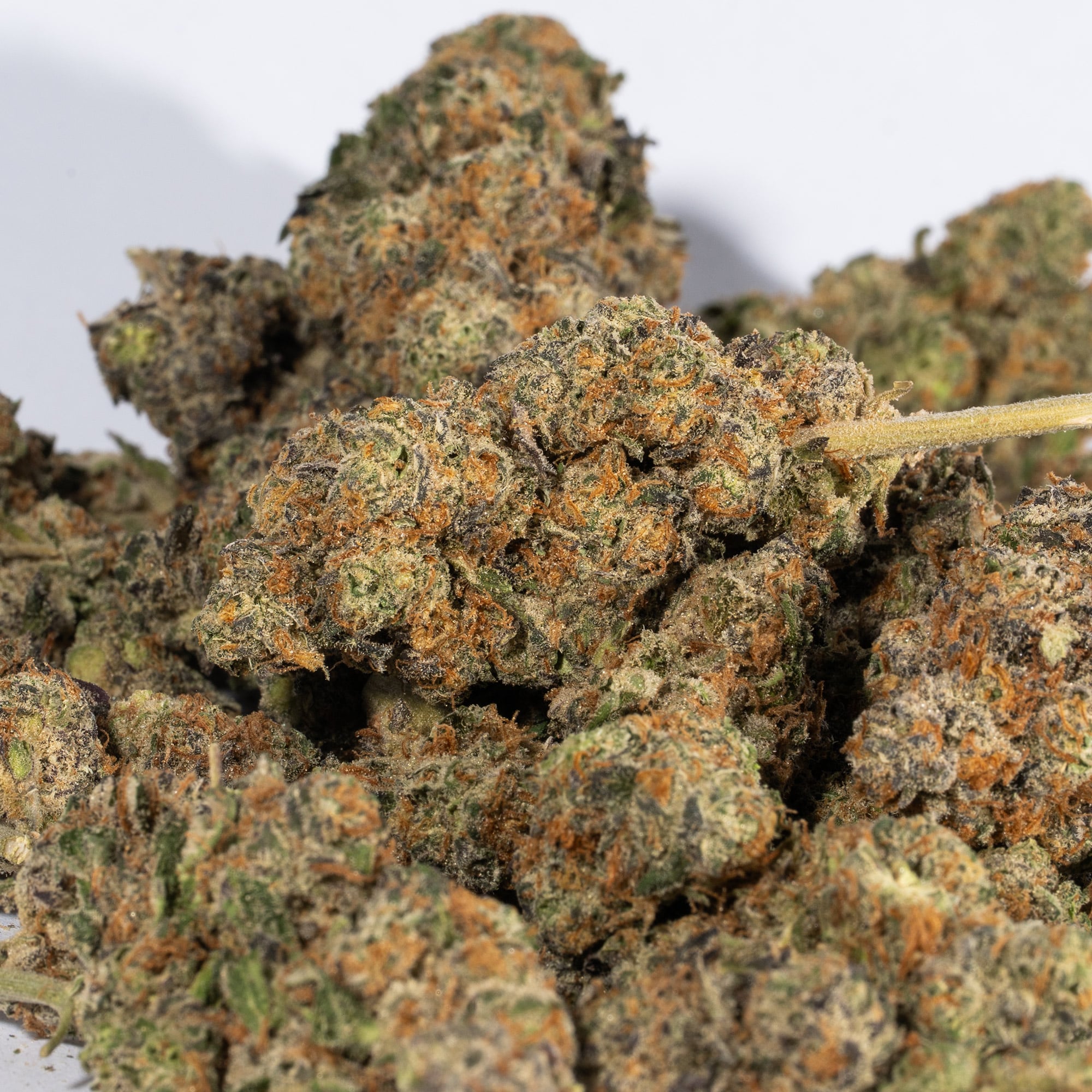 Animal Cookies (AAA) Animal Cookies (AAA)