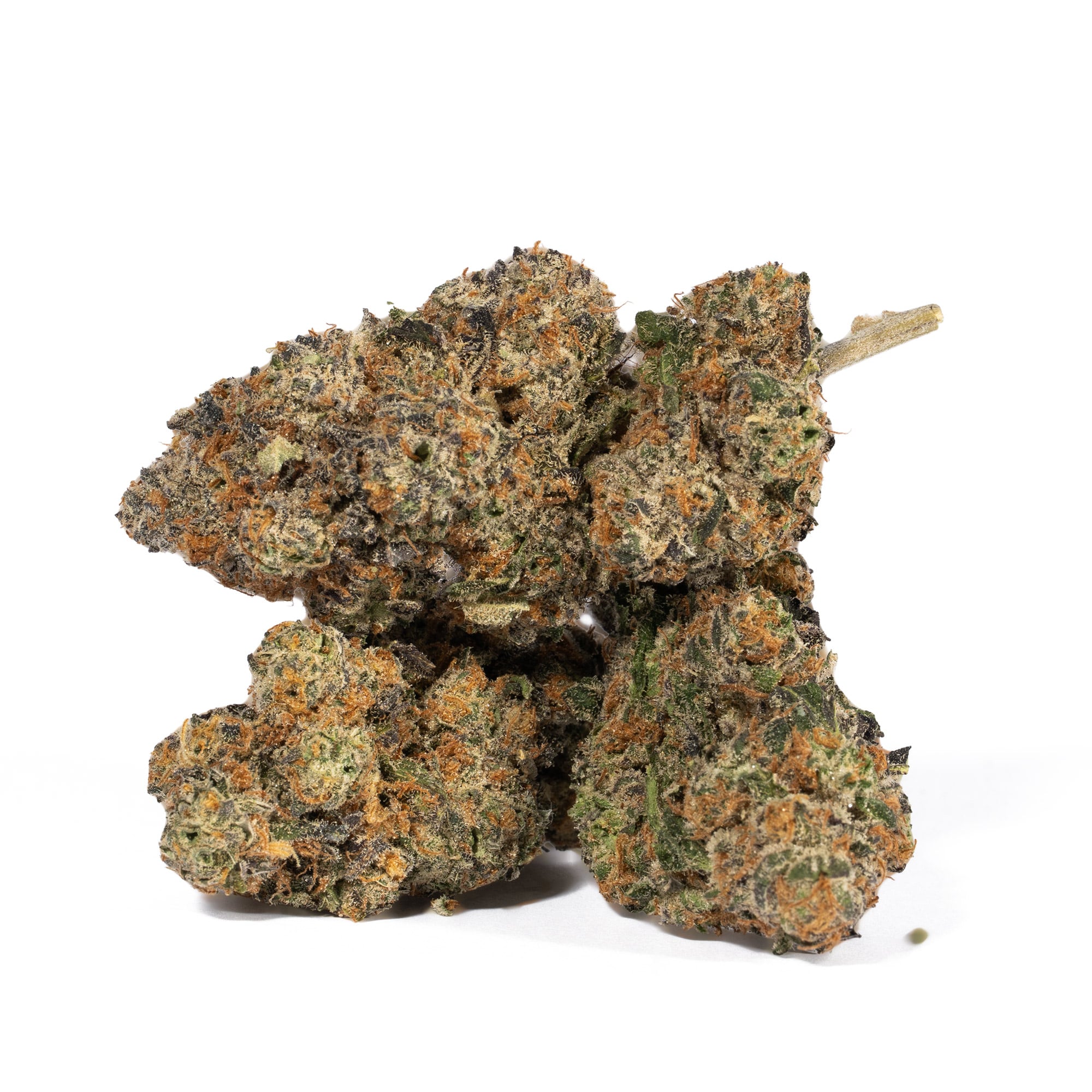 Animal Cookies (AAA) Animal Cookies (AAA)
