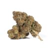 Animal Cookies (AAA)