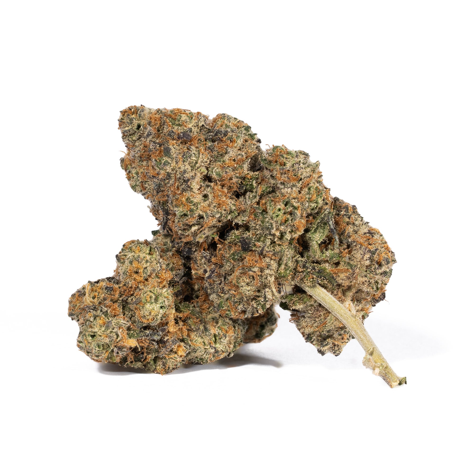 Animal Cookies (AAA) Animal Cookies (AAA)