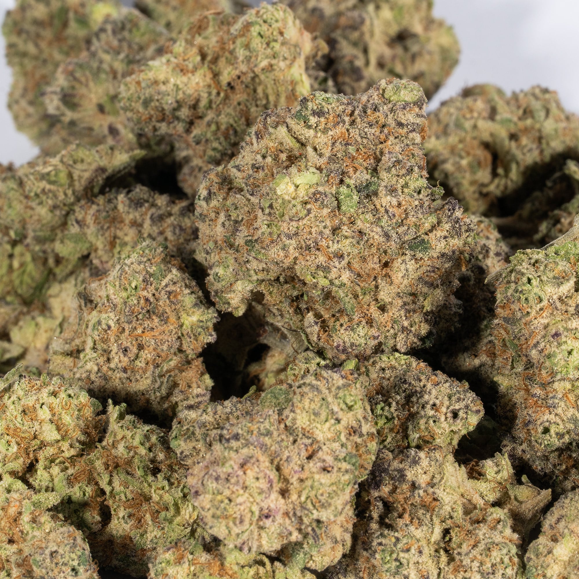 Bubblegum (AA+) Bubblegum (AA+)