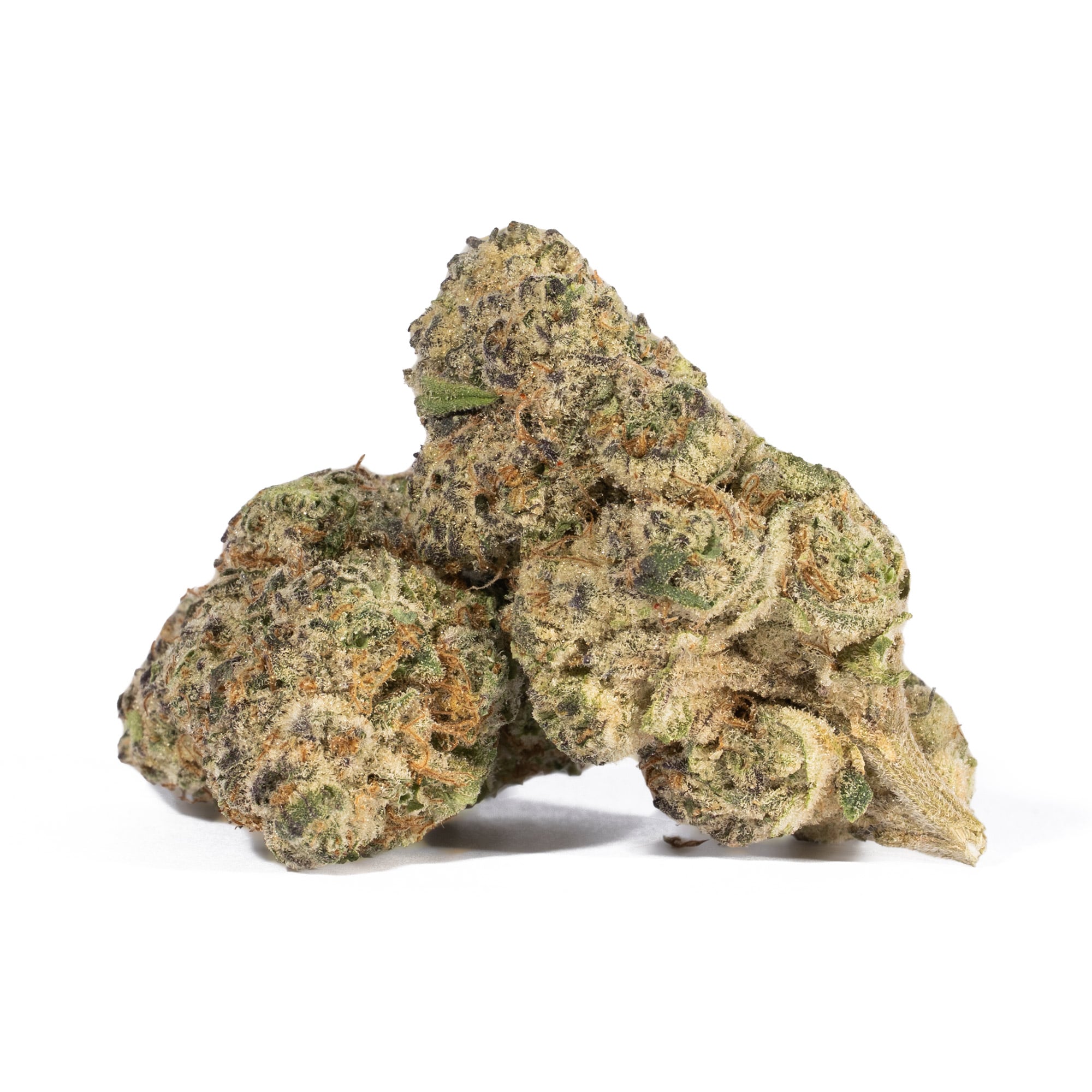 Bubblegum (AA+) Bubblegum (AA+)