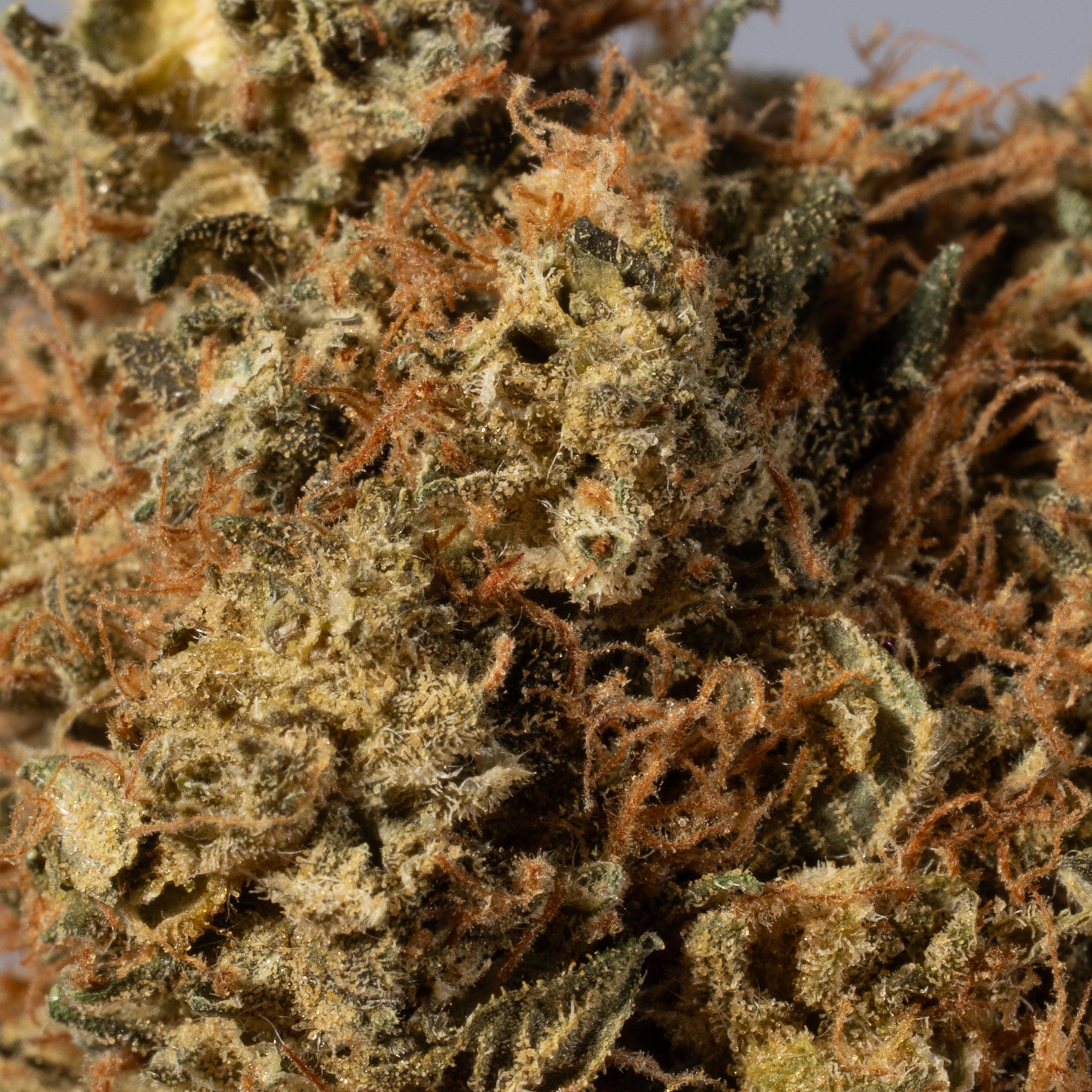 Death Bubba Smalls (AA) Death Bubba Smalls (AA)