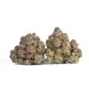 Gelato 41 (AAAA) Gelato 41 (AAAA)