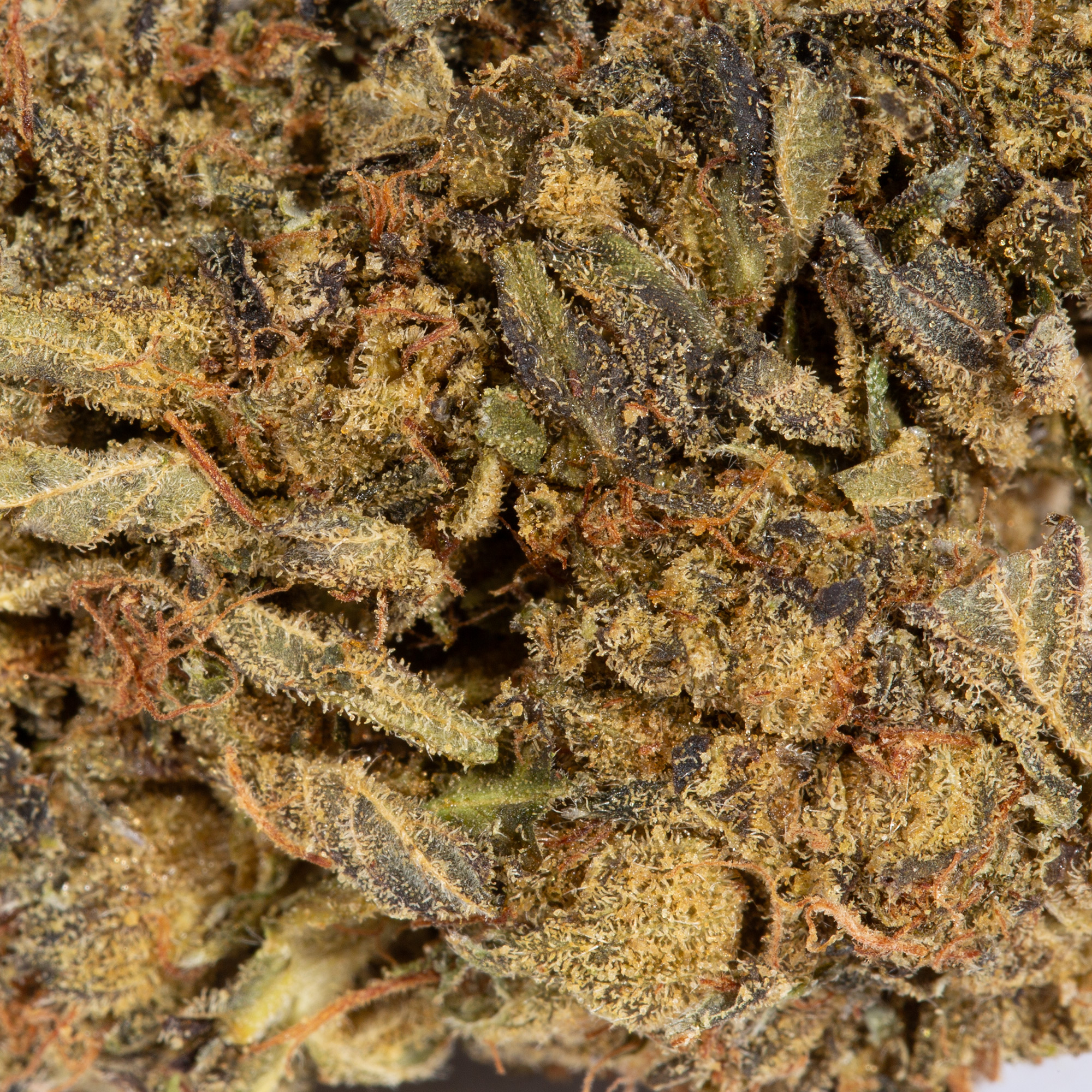 Green Crack (AA) Green Crack (AA)