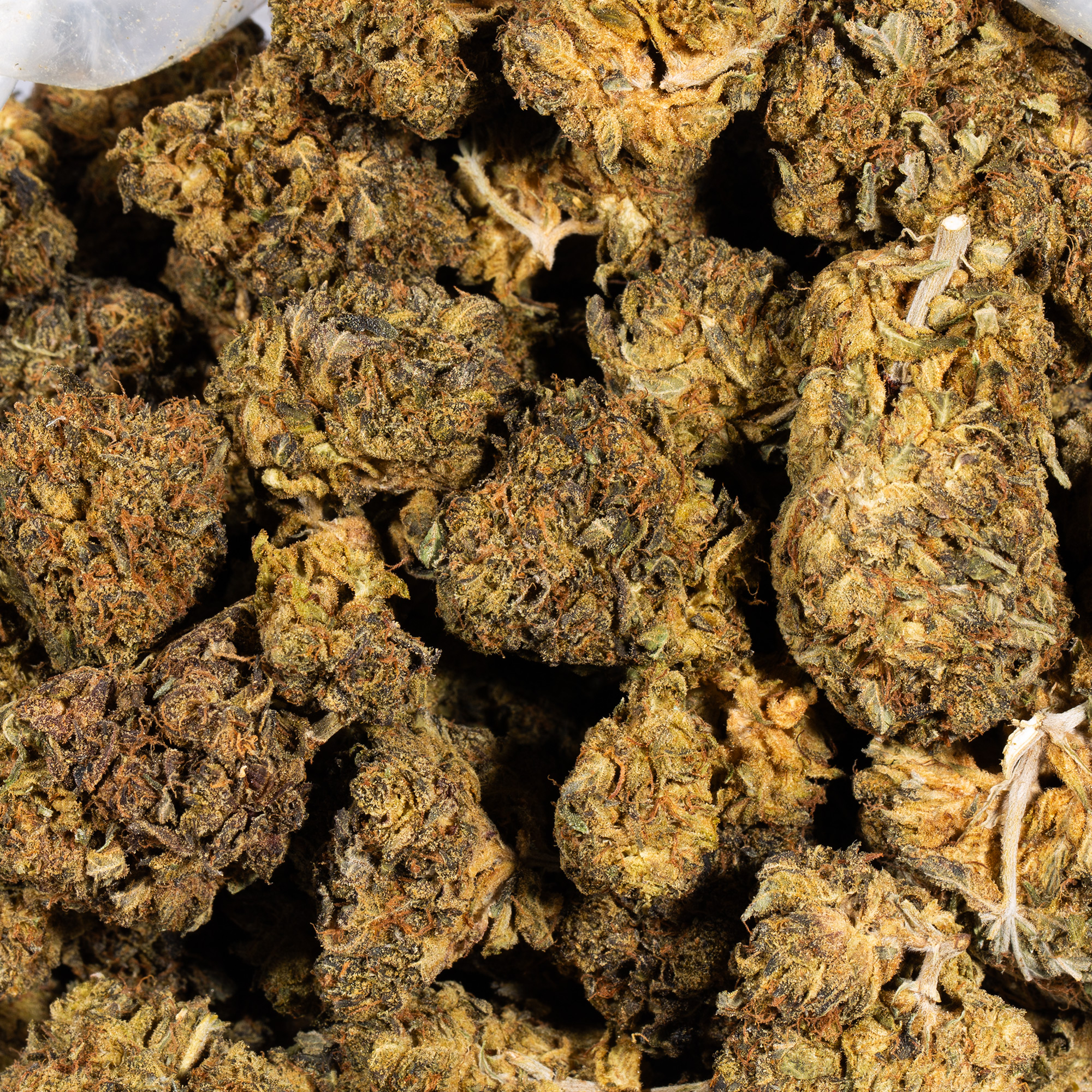 Green Crack (AA) Green Crack (AA)