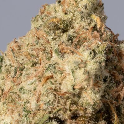Jack Herer (AA+)