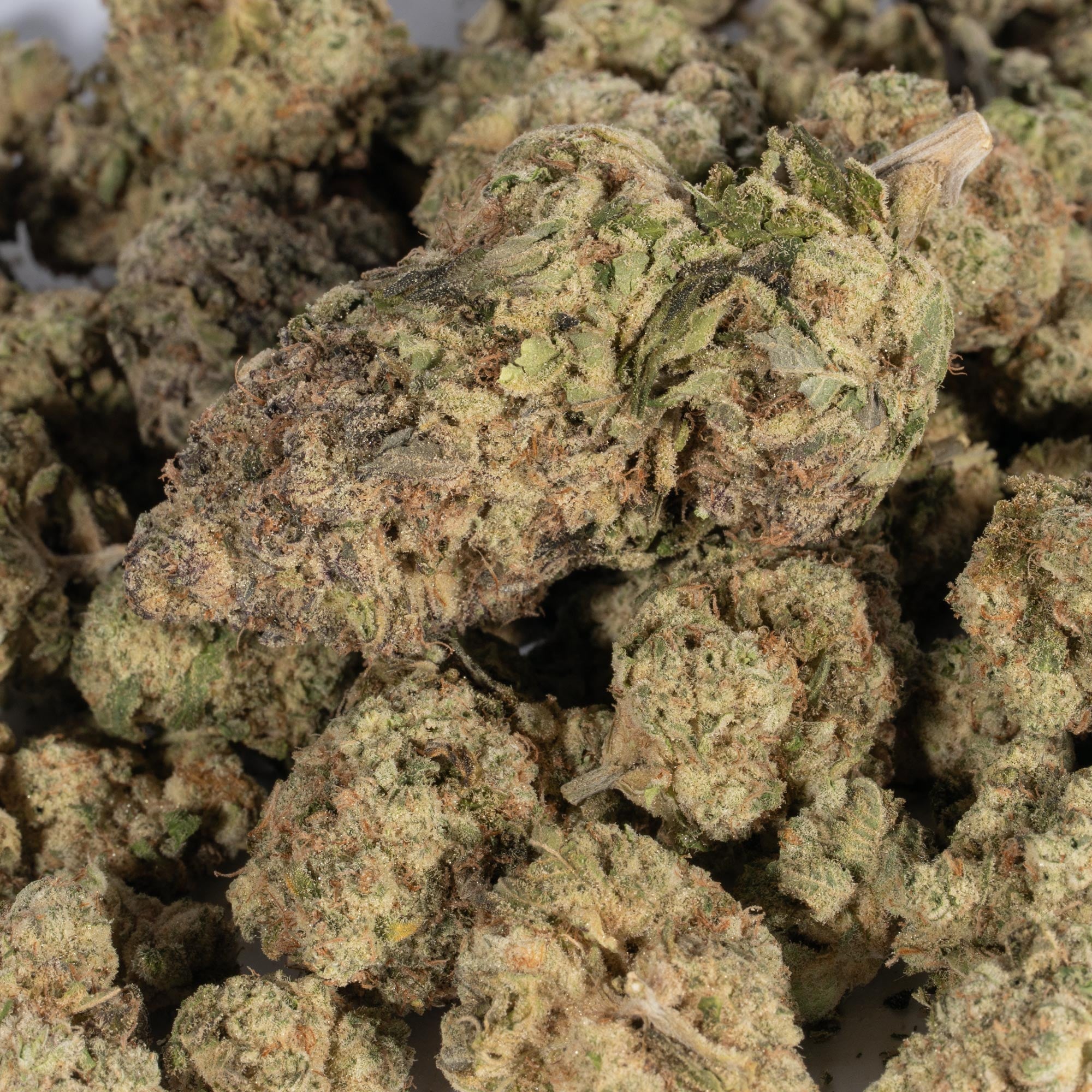 Jack Herer (AA+) Jack Herer (AA+)
