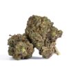Pink Rockstar (AAA+) Pink Rockstar (AAA+)