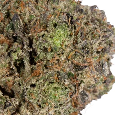 Pink Rockstar (AAA+)
