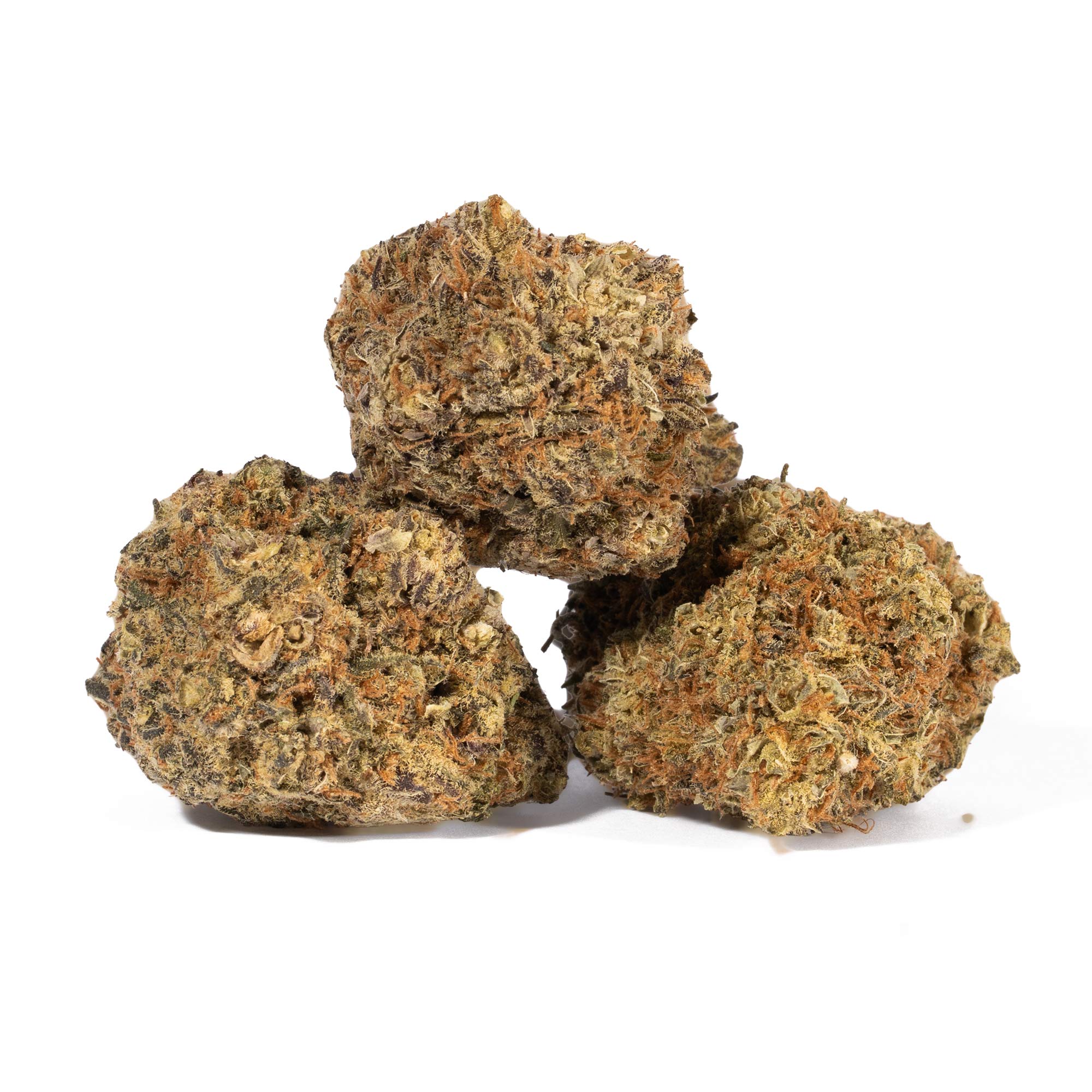 Moby Dick (AA+) Moby Dick (AA+)