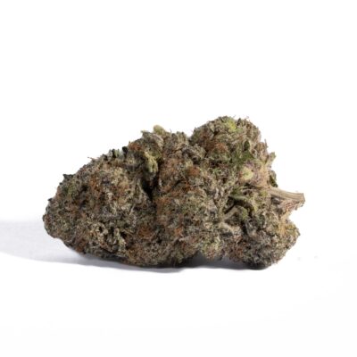 Pacific Frost (AAA+)