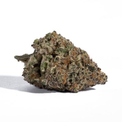 Champagne Kush (AAA+)