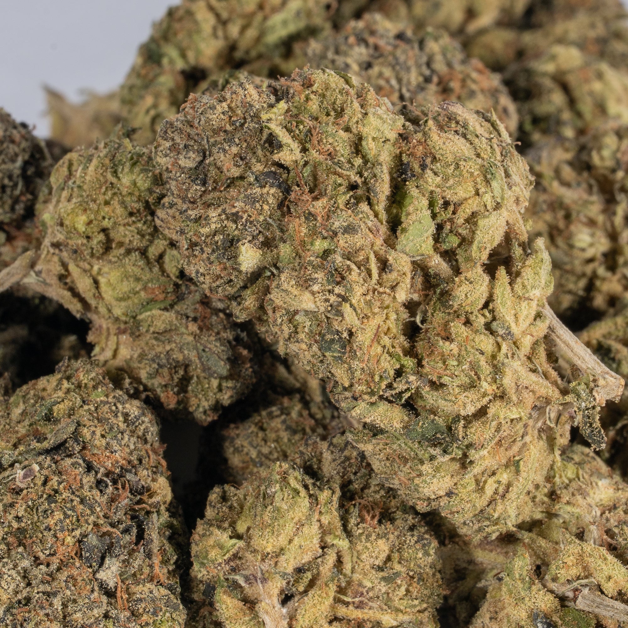 Rock Candy (AA+) Rock Candy (AA+)