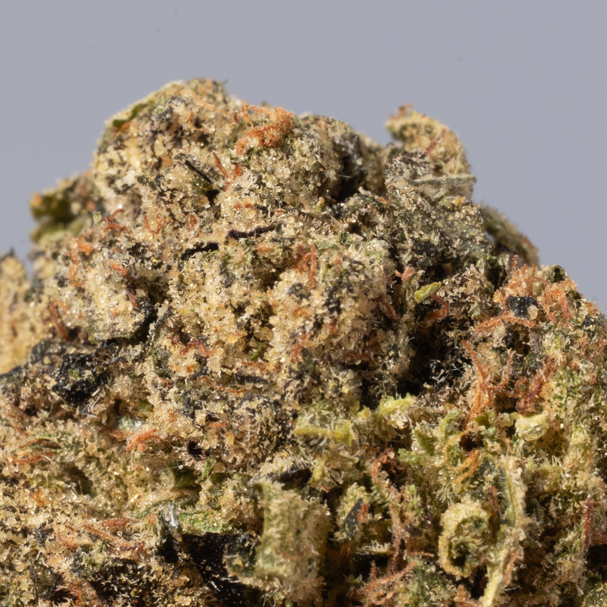 Rock Candy (AA+) Rock Candy (AA+)
