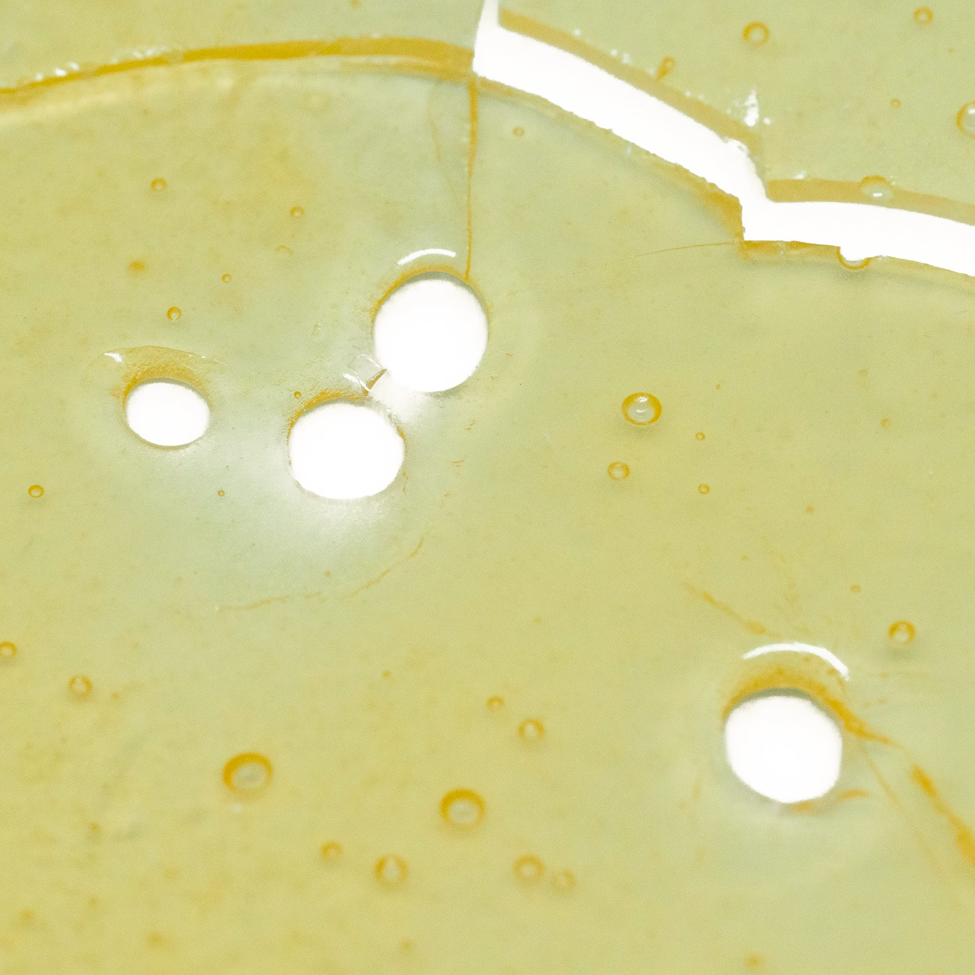 House Shatter - Strawberry Cough (Sativa) House Shatter - Strawberry Cough (Sativa)