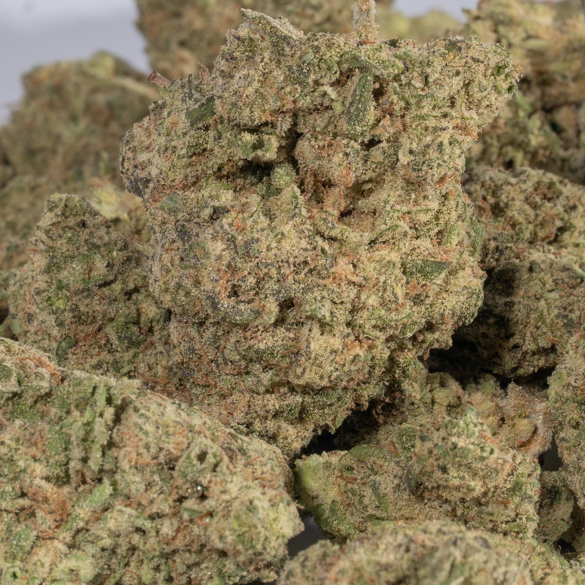 Super Lemon Haze (AAA) Super Lemon Haze (AAA)