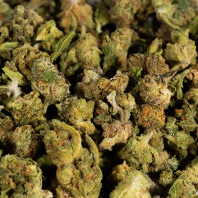Maui Wowie Smalls (A)