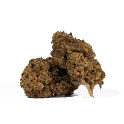 Motor Breath is a potent hybrid strain known for its pungent diesel aroma, earthy undertones, and heavy-hitting effects. A cross between Chemdog and SFV OG Kush, it delivers a strong euphoric rush followed by deep body relaxation, making it a popular choice for evening sessions and experienced users seeking a powerful, gassy smoke.