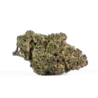 Ricky Bobby OG (AAAA+)