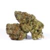 Acapulco Gold (AAAA) Promo