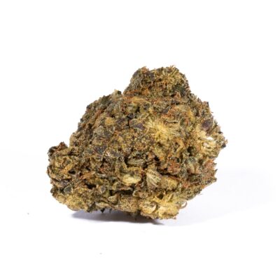 Cherry Dosi (A) Promo