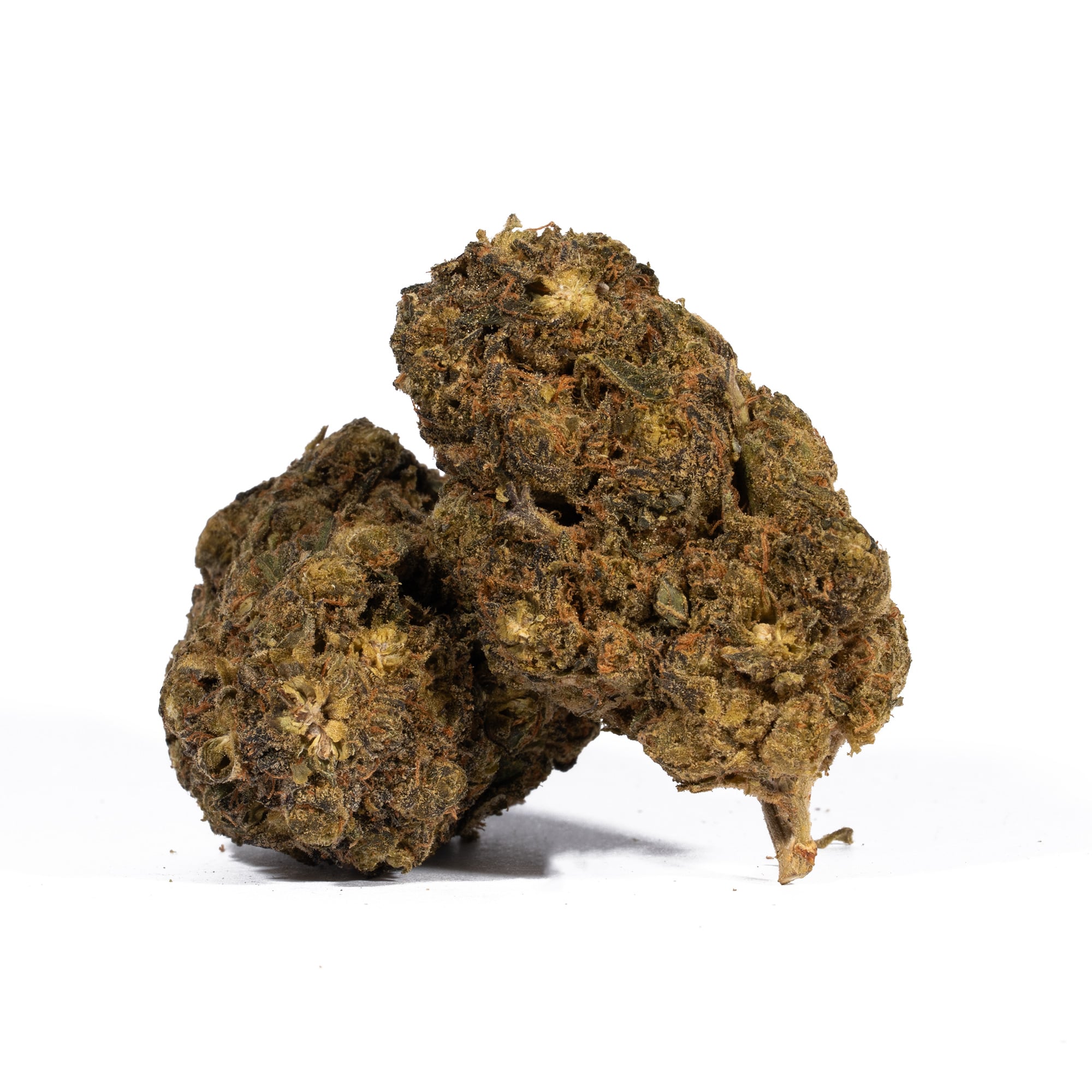 Super Boof (AA) Promo Super Boof (AA) Promo