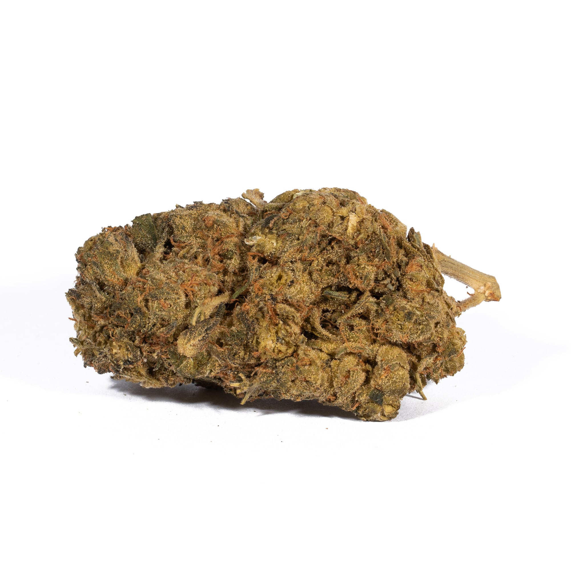 Super Boof (AA) Promo Super Boof (AA) Promo