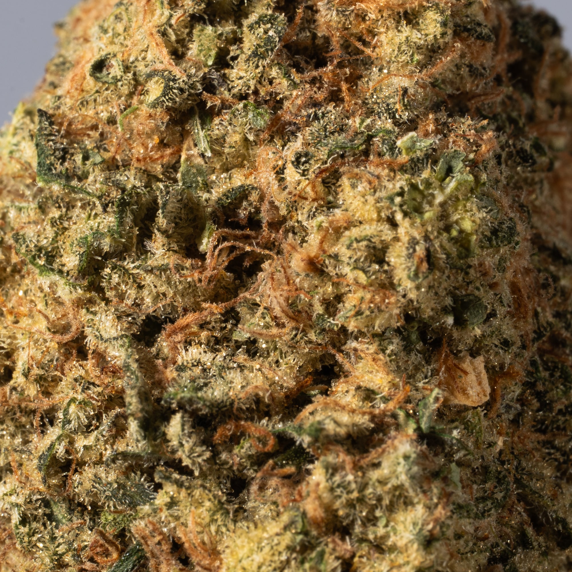 Alaskan Thunder Fuck (AA) Alaskan Thunder Fuck (AA)