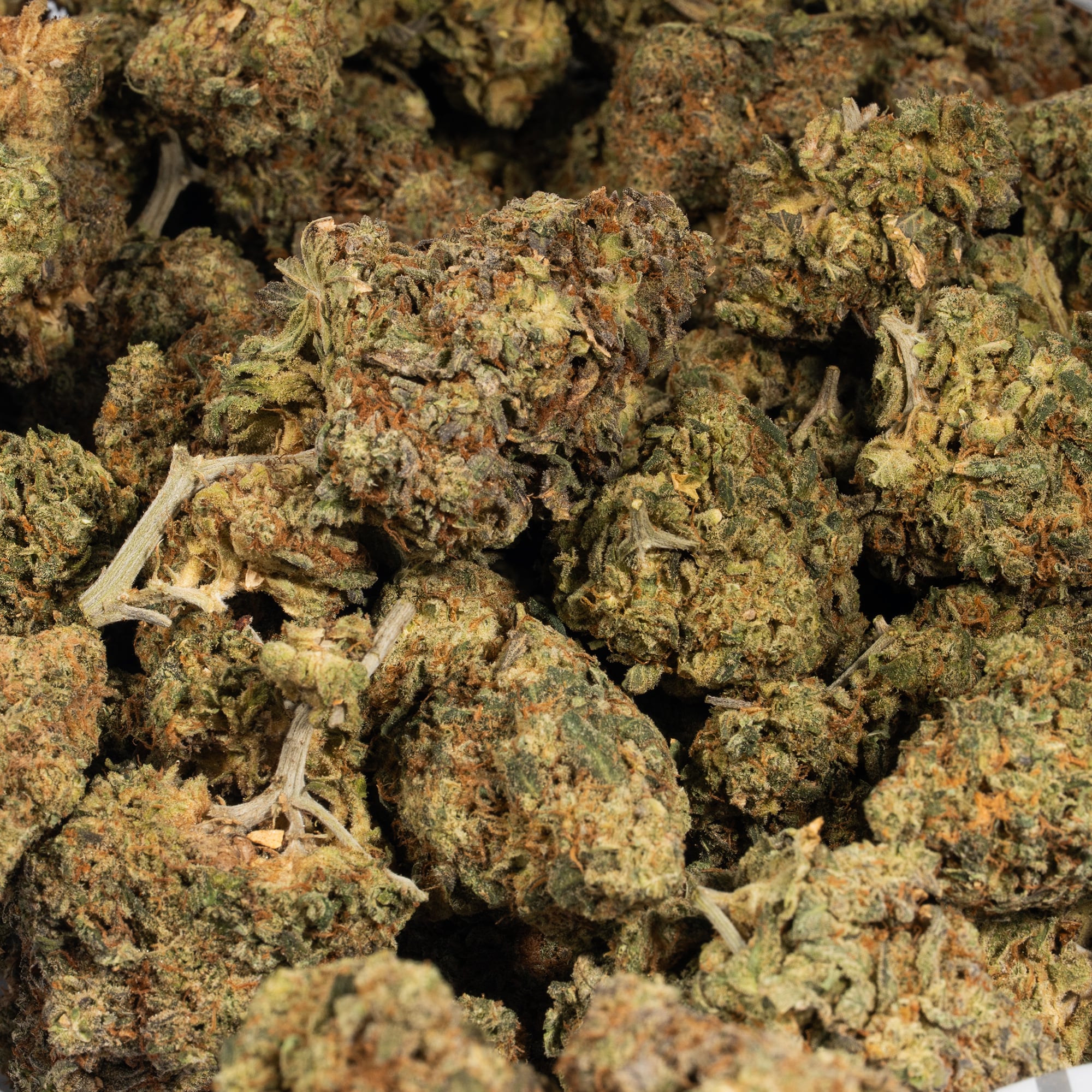 Alaskan Thunder Fuck (AA) Alaskan Thunder Fuck (AA)