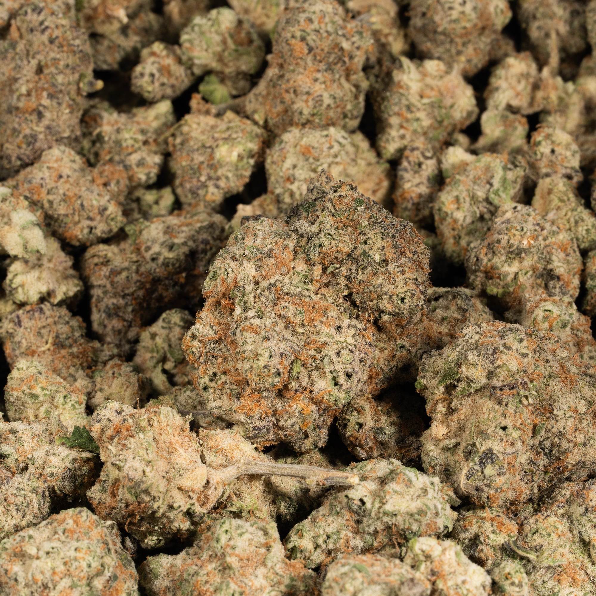 Fruity Pebbles (AAA) Fruity Pebbles (AAA)