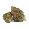 Pink Gorilla (AAA+) Promo