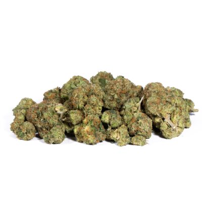 Pink Gorilla (AAA+) Promo