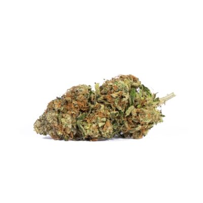 Tropicana Haze (AAAA)