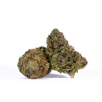 Lemon Sweet Skunk (AAA)