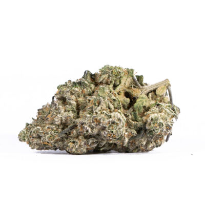 Papaya (AAAA+)