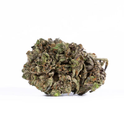 Purple Haze (AAAA)