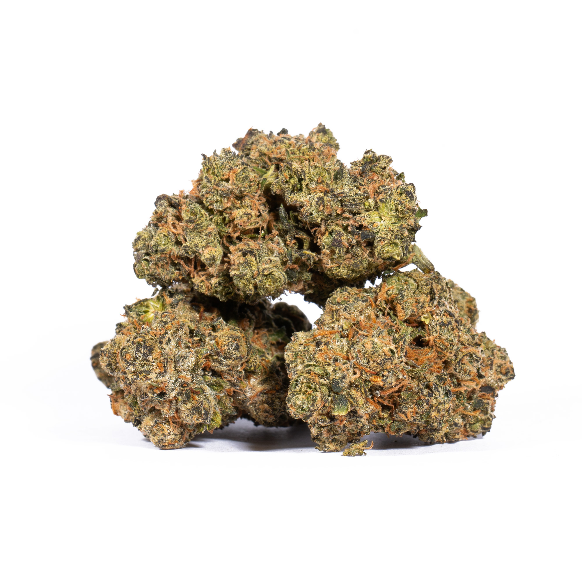 Tropic Thunder (AA+) Tropic Thunder (AA+)