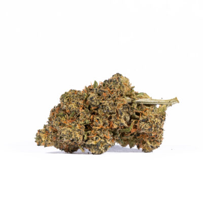 Tropic Thunder (AA+)