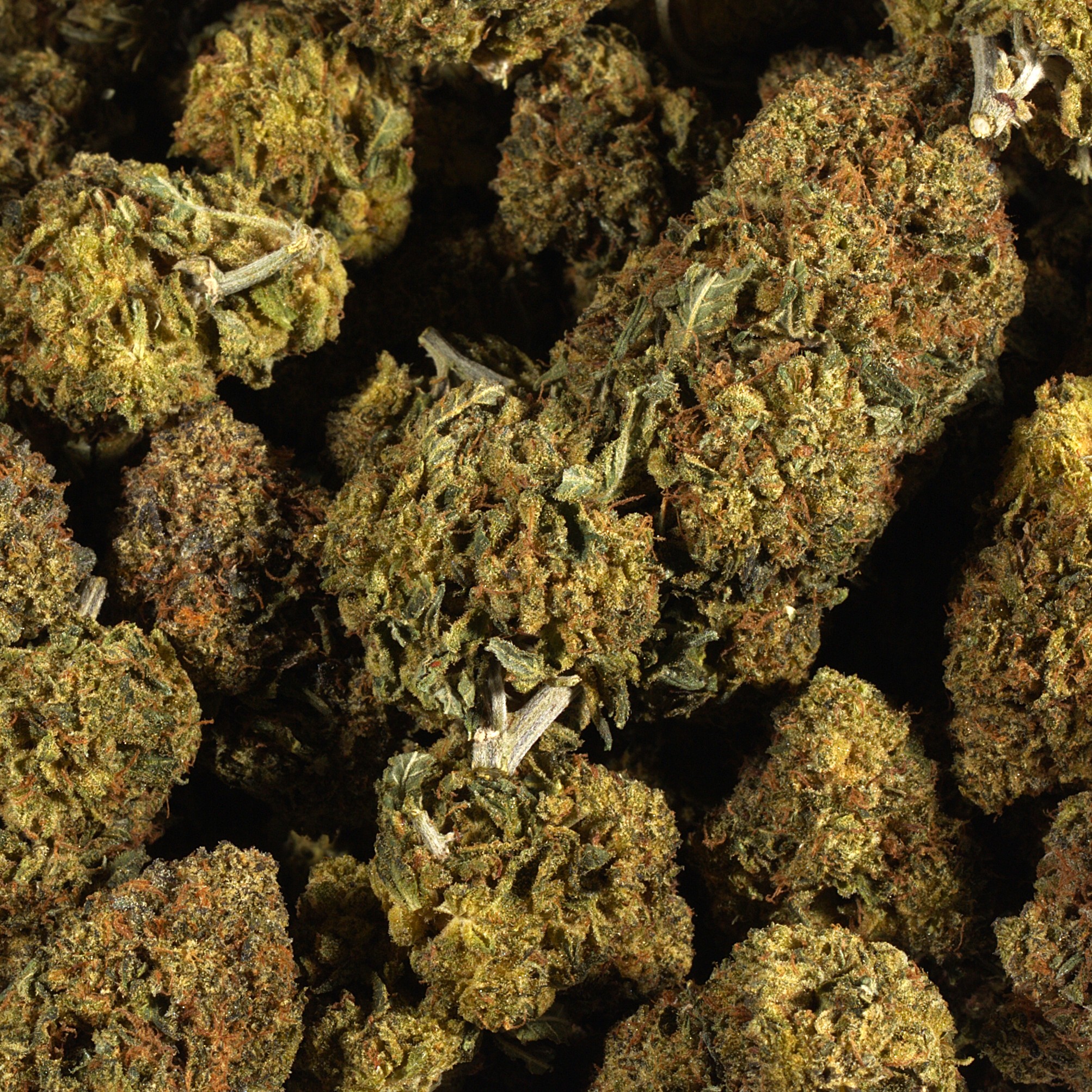 Black Death Bubba (AA) Black Death Bubba (AA)