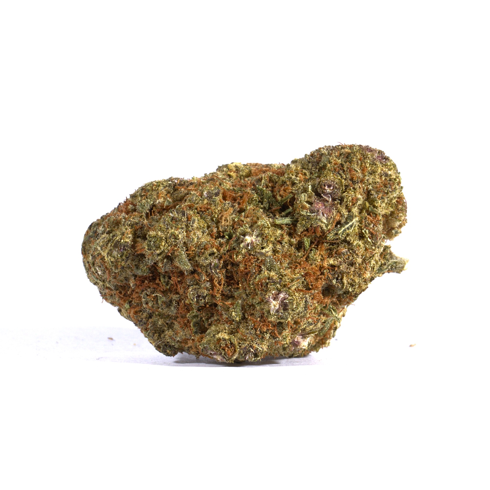 Grape God (AA) Grape God (AA)