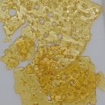Gold Seal Shatter 1g - Panama Red Gold Seal Shatter 1g - Panama Red