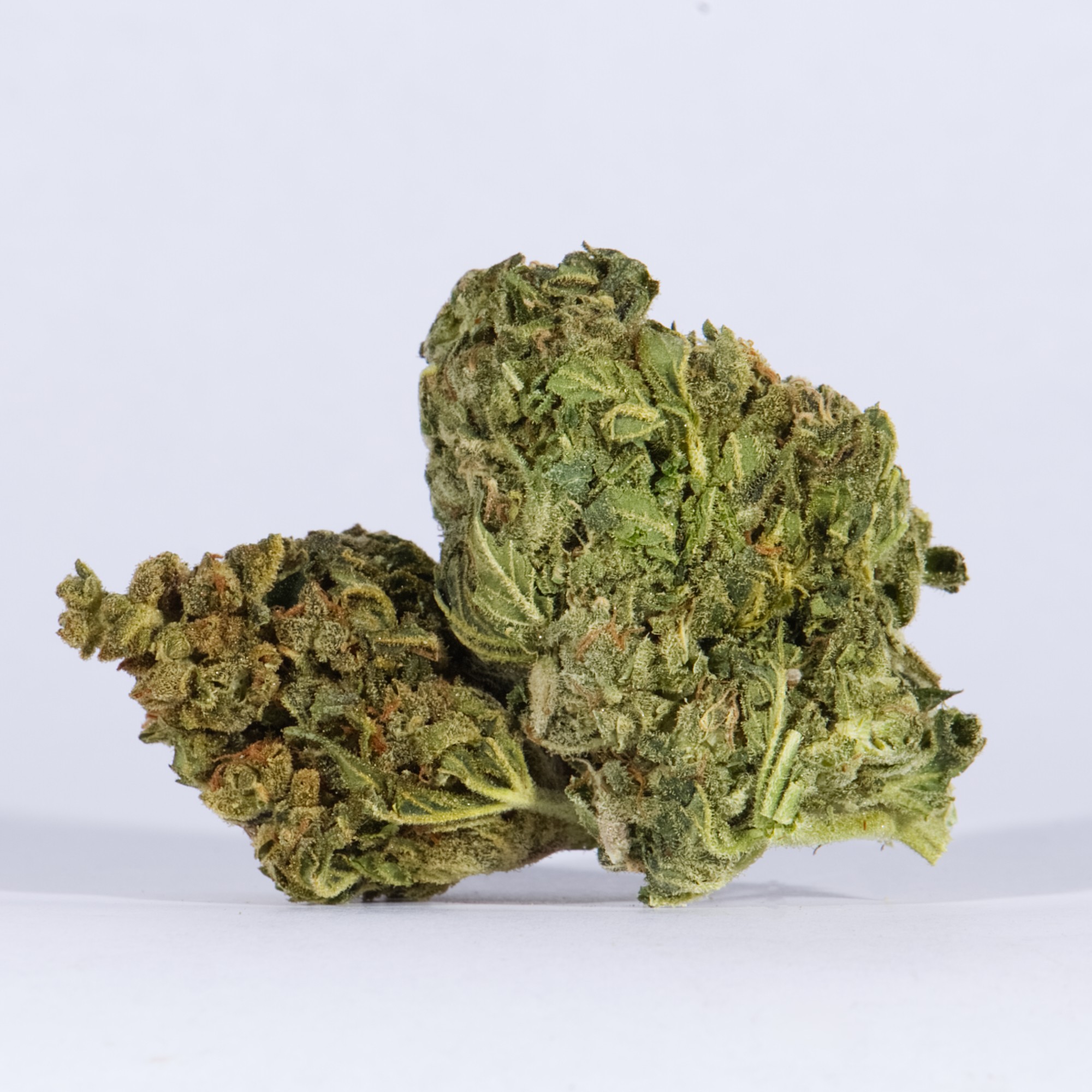 Space Cake (AA) Space Cake (AA)