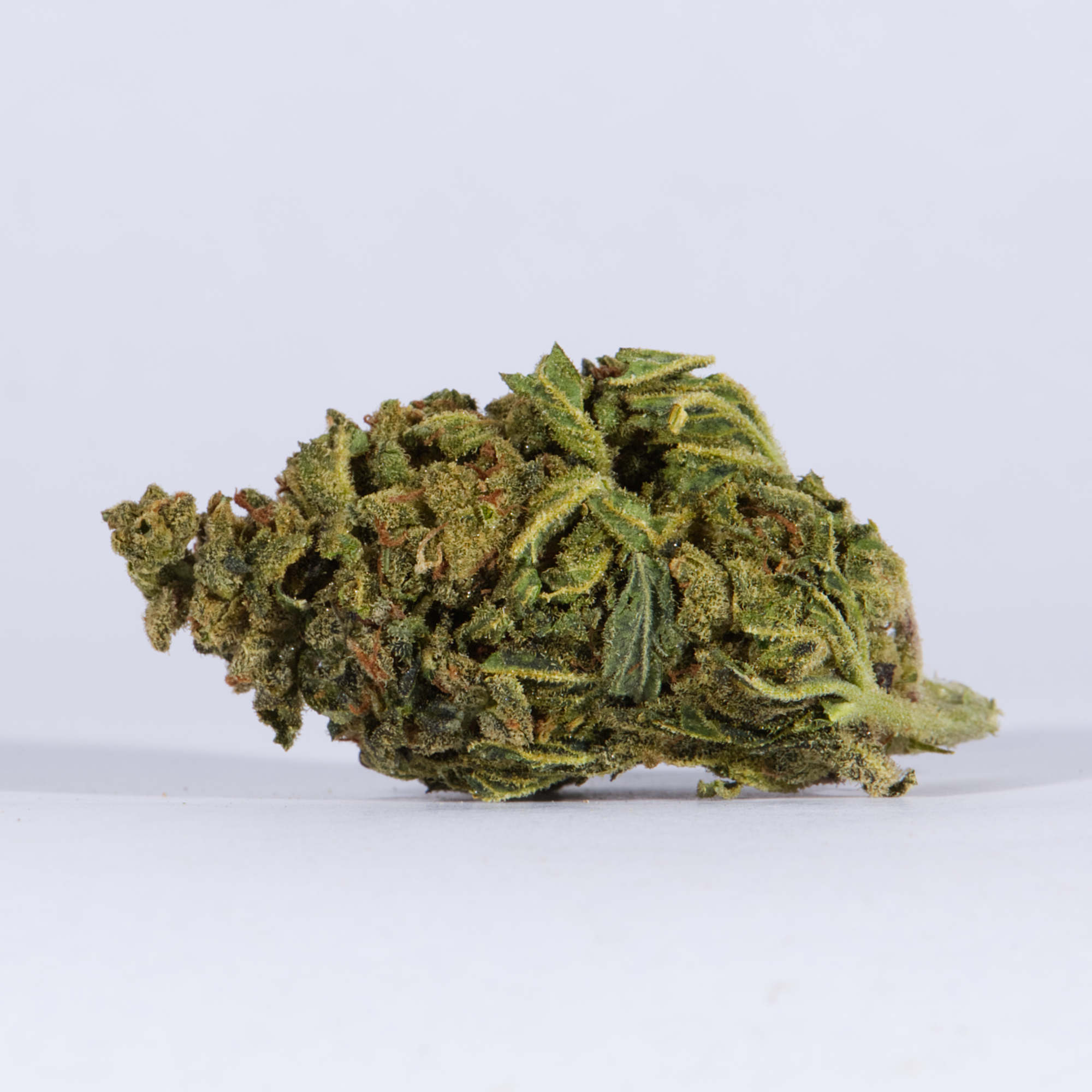 Space Cake (AA) Space Cake (AA)
