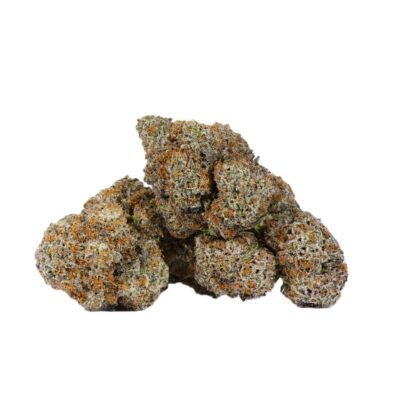 Cactus (AAAA)