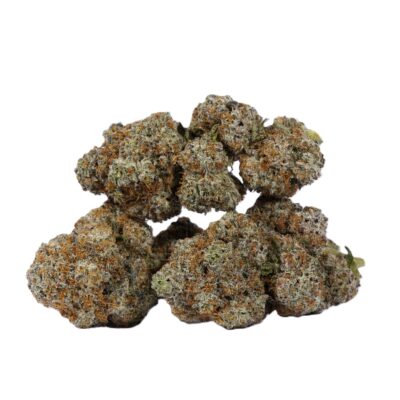 Cactus (AAAA)