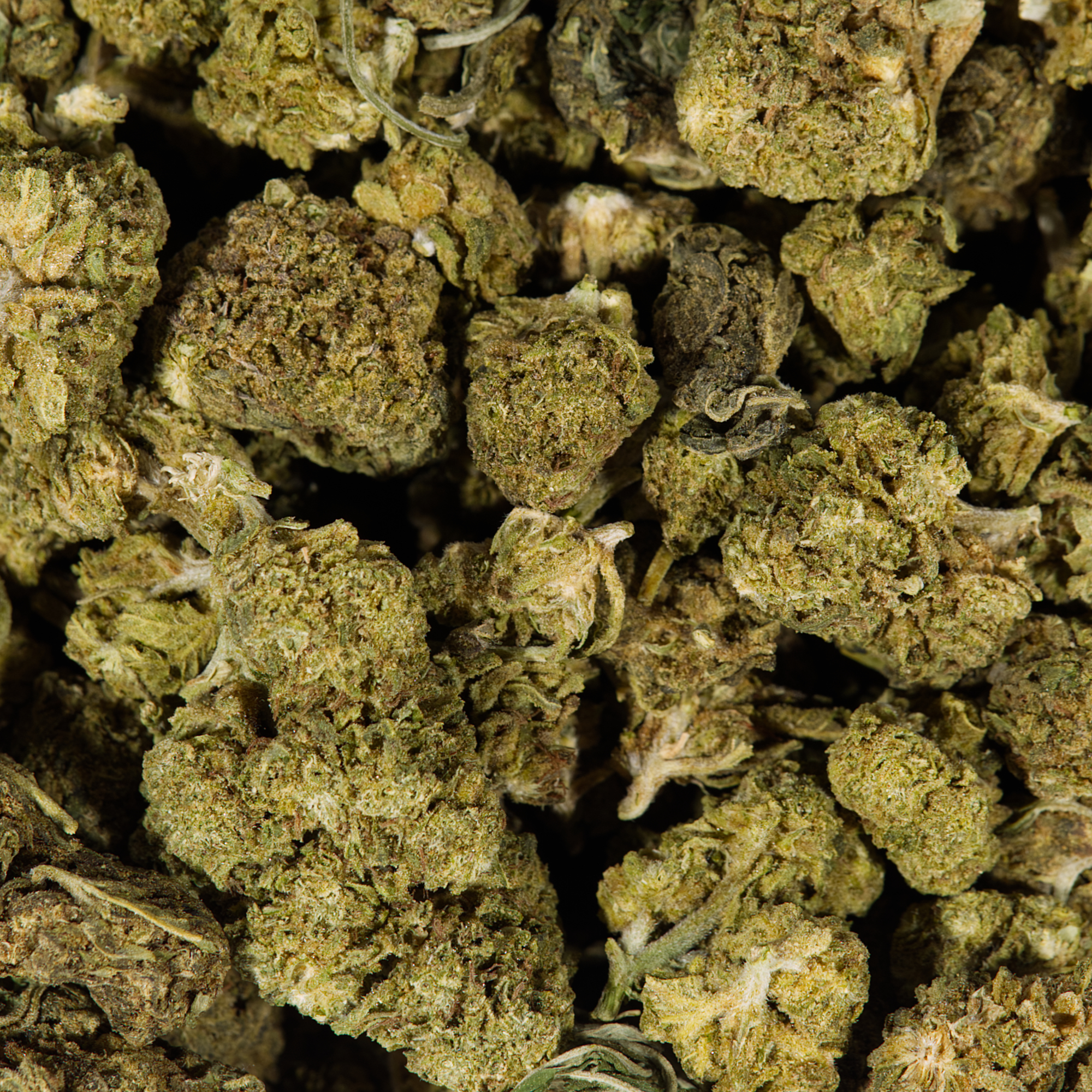 Cherry OG (AA) Cherry OG (AA)