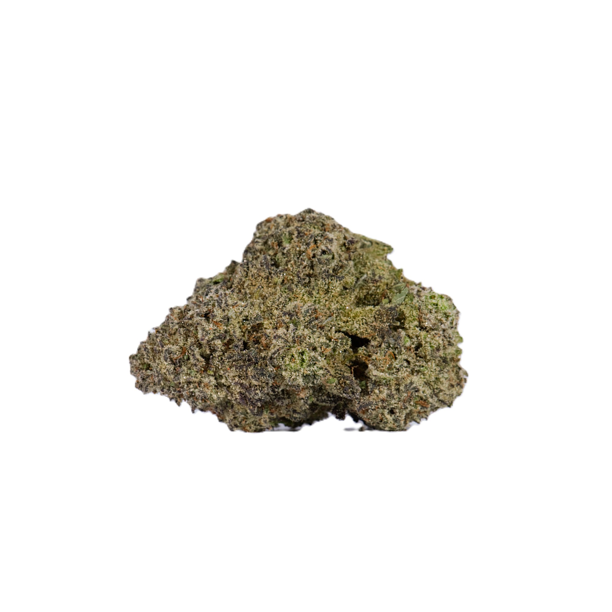 Ghost Dawg (AAA) Ghost Dawg (AAA)