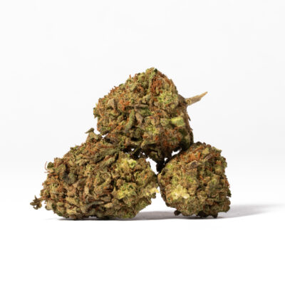 Cornbread a patient favorite for treating appetite loss, nausea, depression, insomnia, and chronic pain. Don't let the name fool you – this bud doesn't taste at all like Cornbread! Rather, it has a flavor of sweet earthy lemon and flowers. The high starts with a euphoric uplifted effect that gives your mood a boost and erases any negative or racing thoughts from your mind instantly.